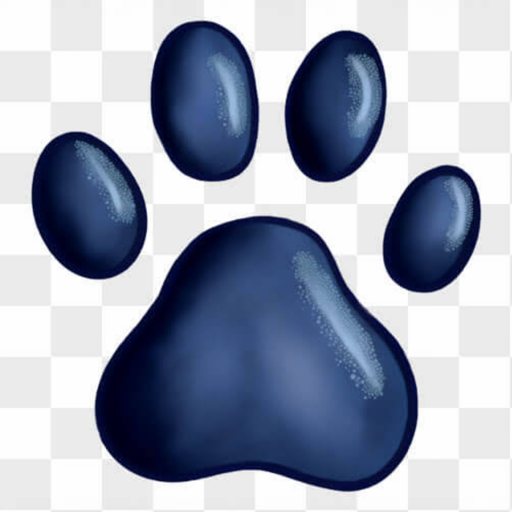 Nail Trim at Holypawzgrooming in Highland, CA