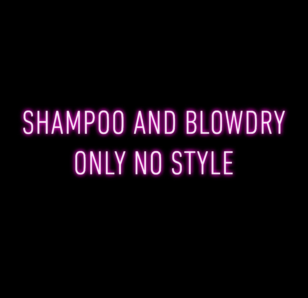 Shampoo & Blowdry Only 💕