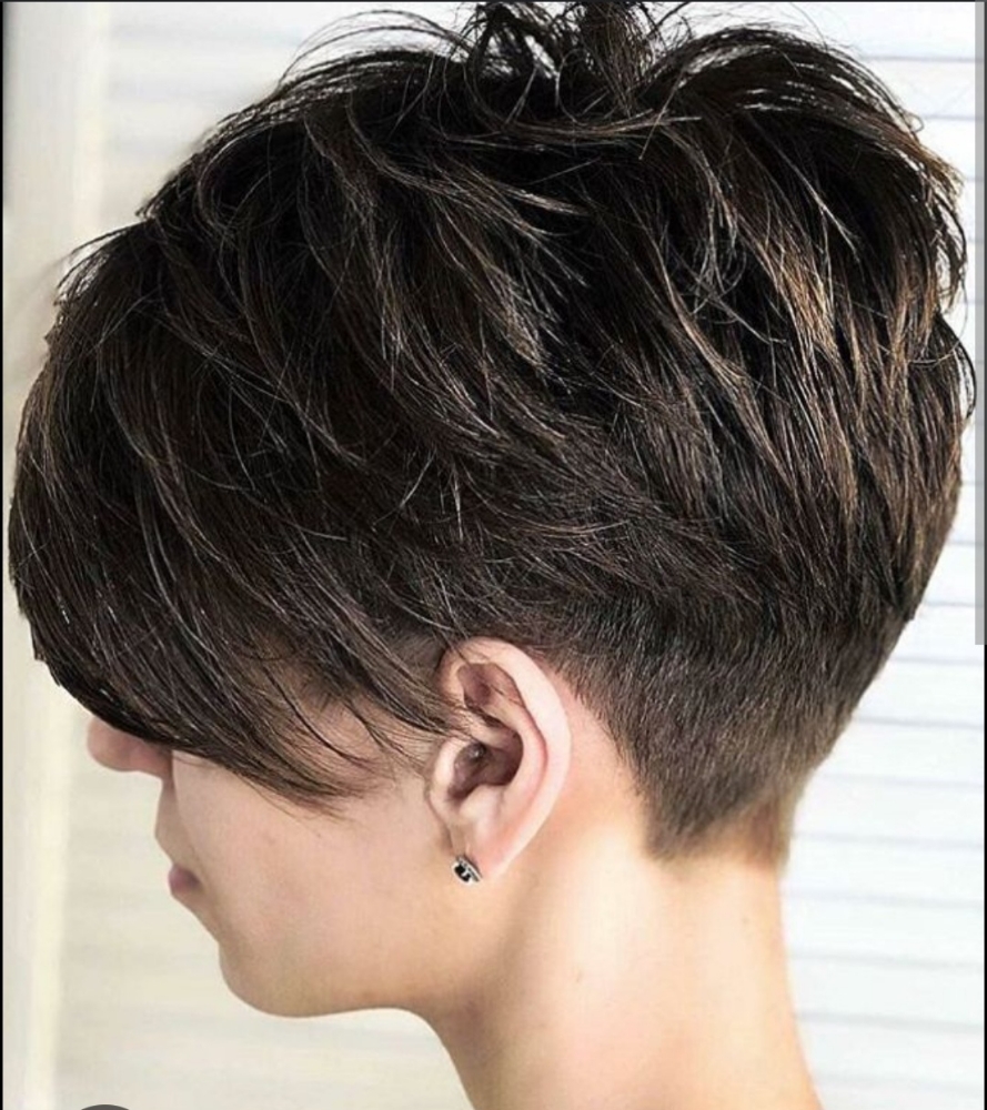 Short Hair Cut And Style