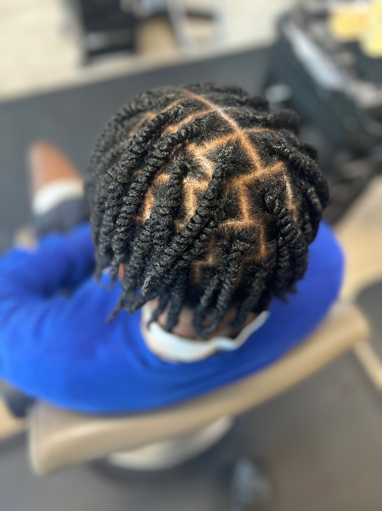 Two Strand Twists