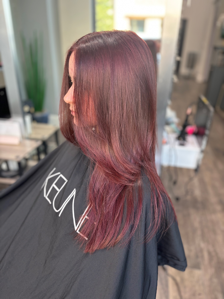 All Over Color at Modern Monroe Hair Co. in Rockwall, TX