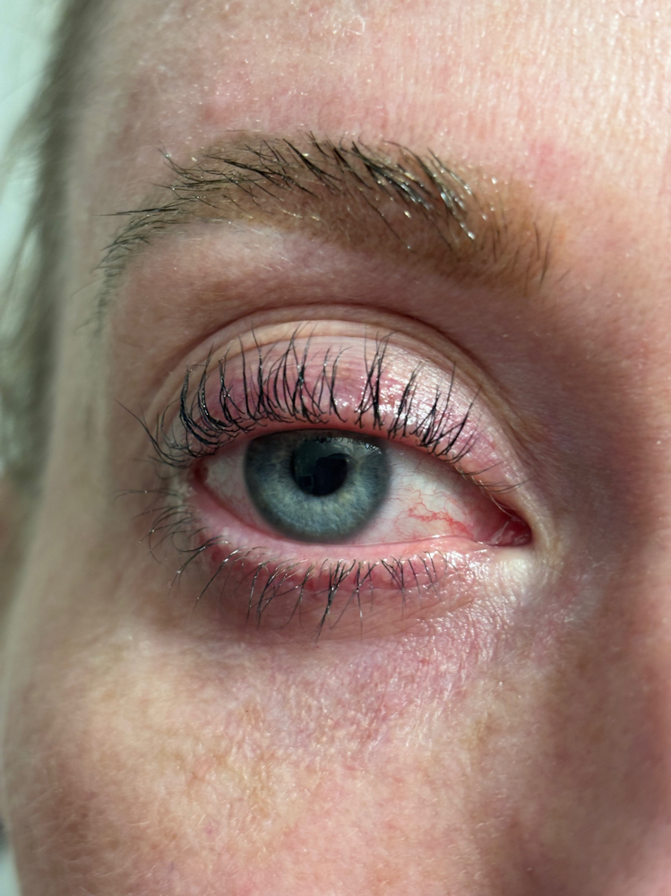 Natural Lashes and Brows