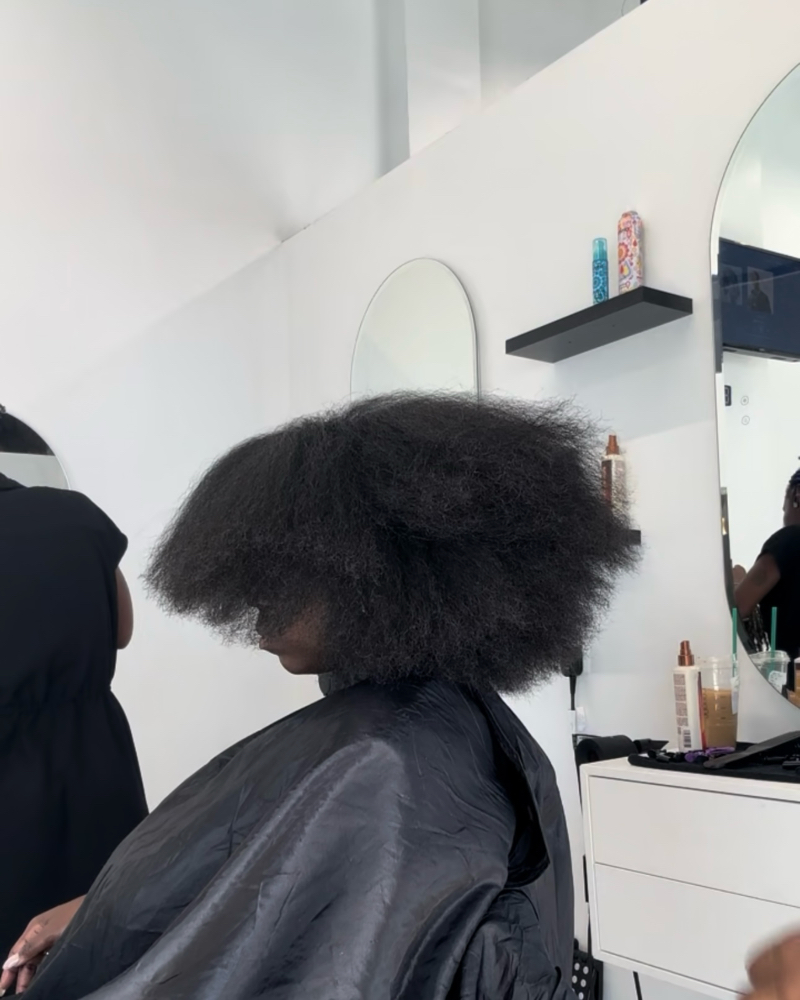 Healthy Hair Reset at Sacred State Hair Studio in Livonia, MI