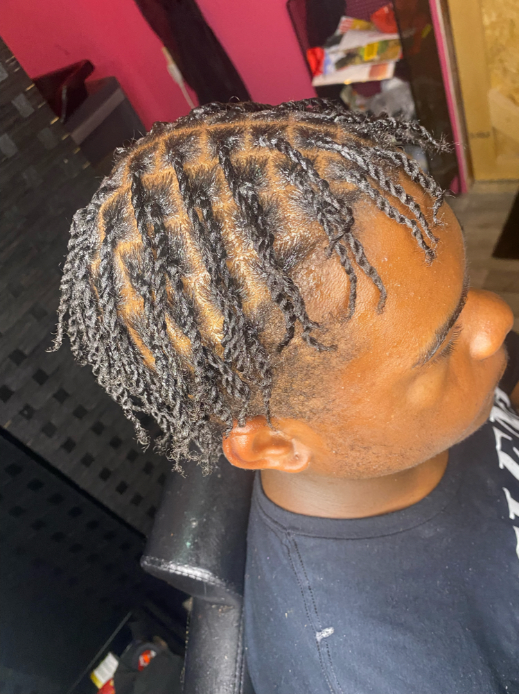 Two Strand Twist