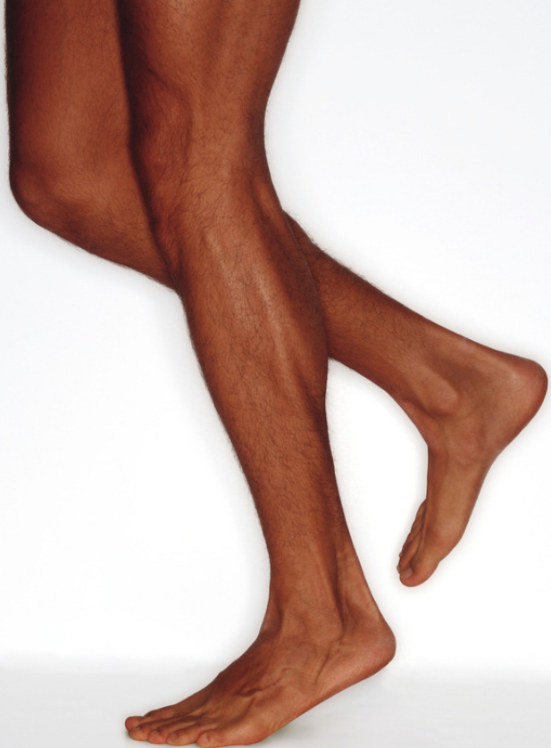 Legs