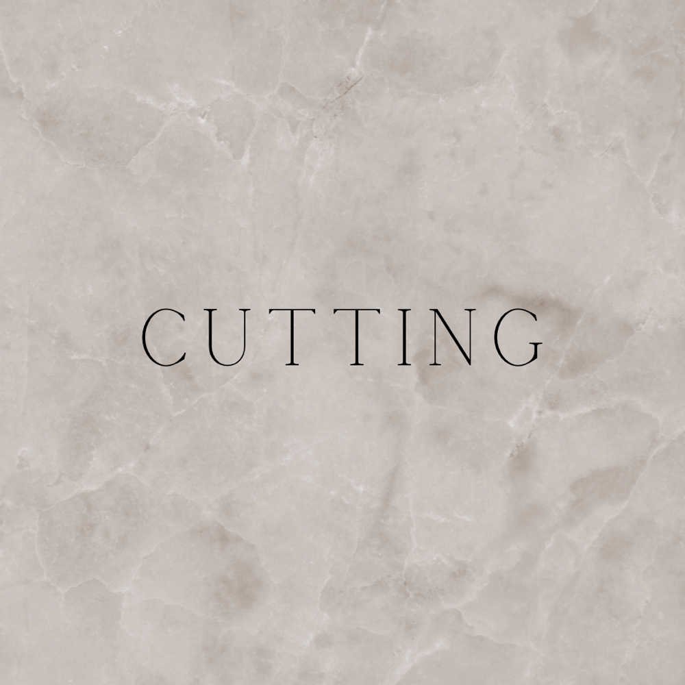 Womens Haircut at Tyler B. Hair in Wesley Chapel, FL