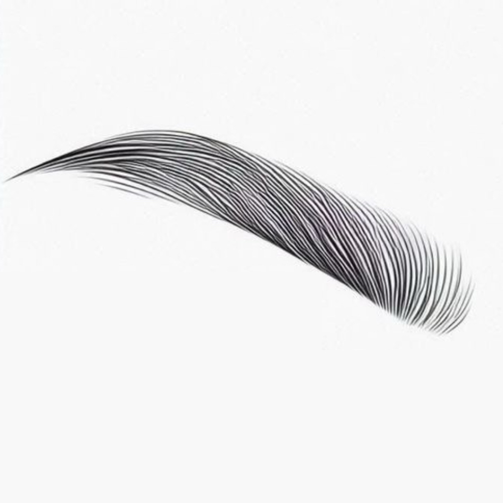 Brow - Wax & Style