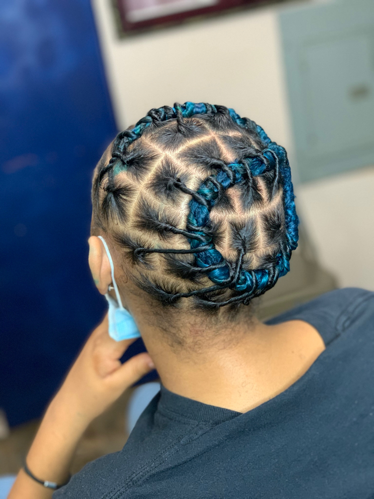 Starter Locs /Instent Locs