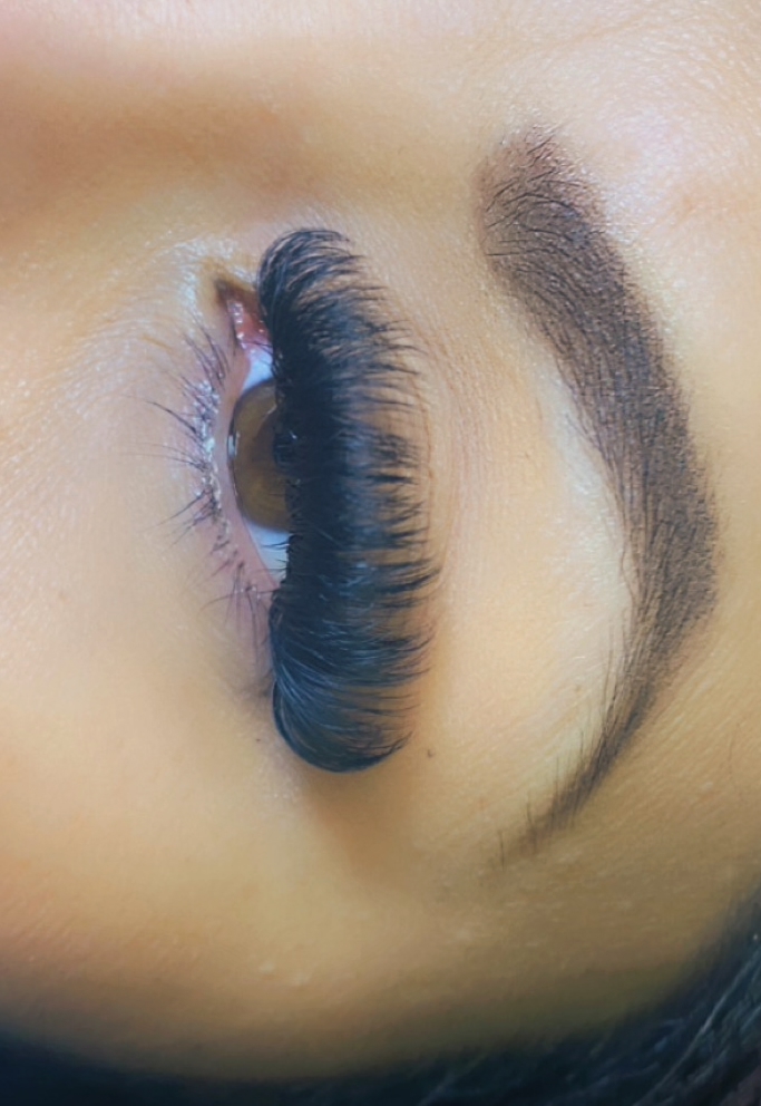 Mega Volume Lashes