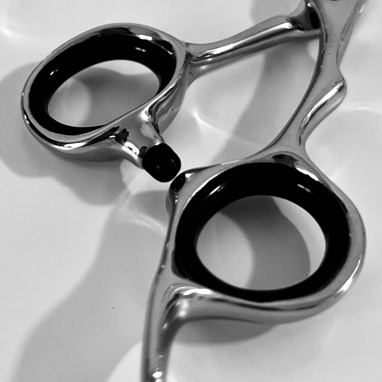 Bang Trim at Tress & Treble in Marlboro, NY