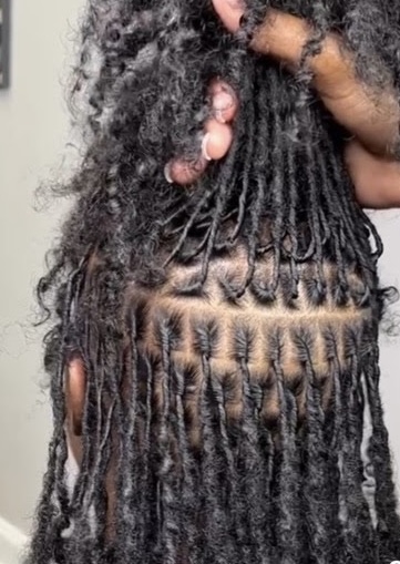 Small Starter Locs