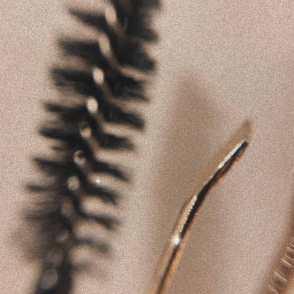 Eyebrow Shaping + Tint at Tranquility Skin Care Studio in Hewitt, TX