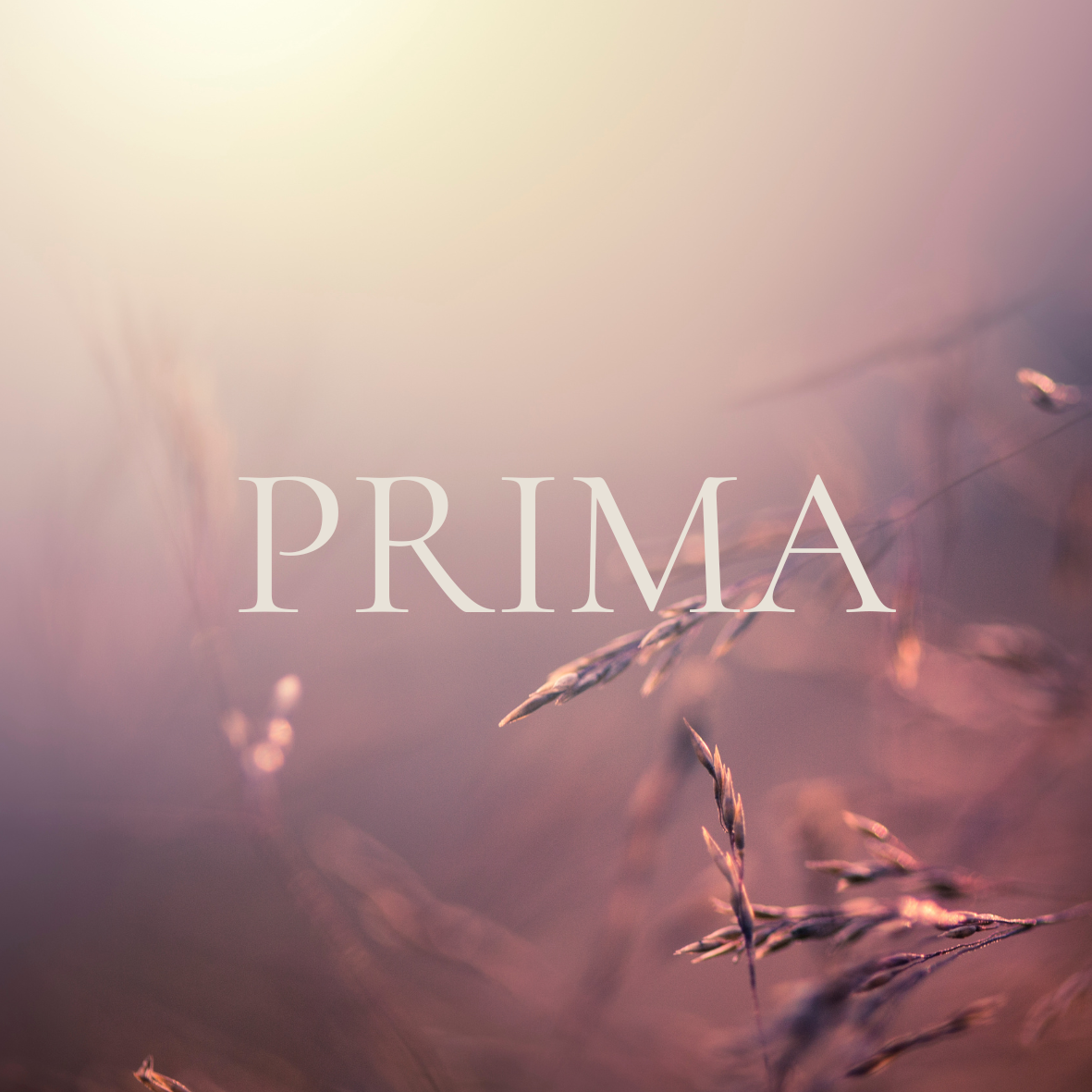 Pre-purchased: Prima Package