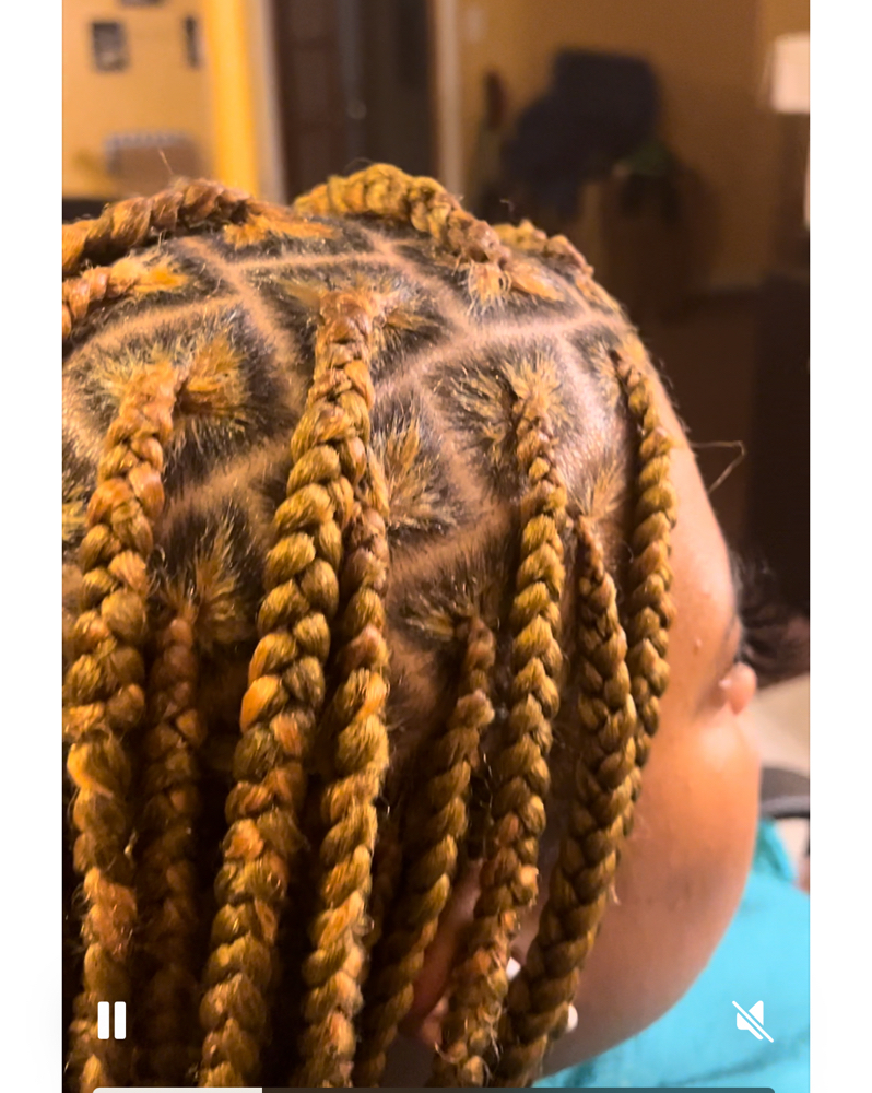 Large Sized Braids at E Creationz in Lynwood, IL