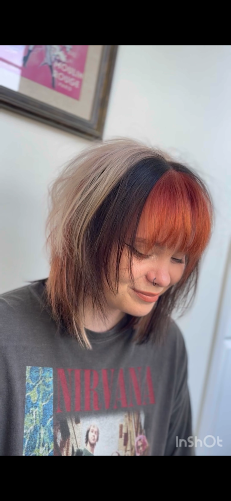 Mult-Block Hair Color (3-4 color