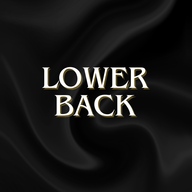 Lower Back