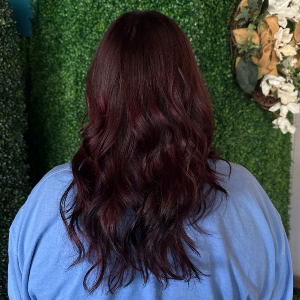 All Over Color Only at Beauty by Lex in Imperial, MO