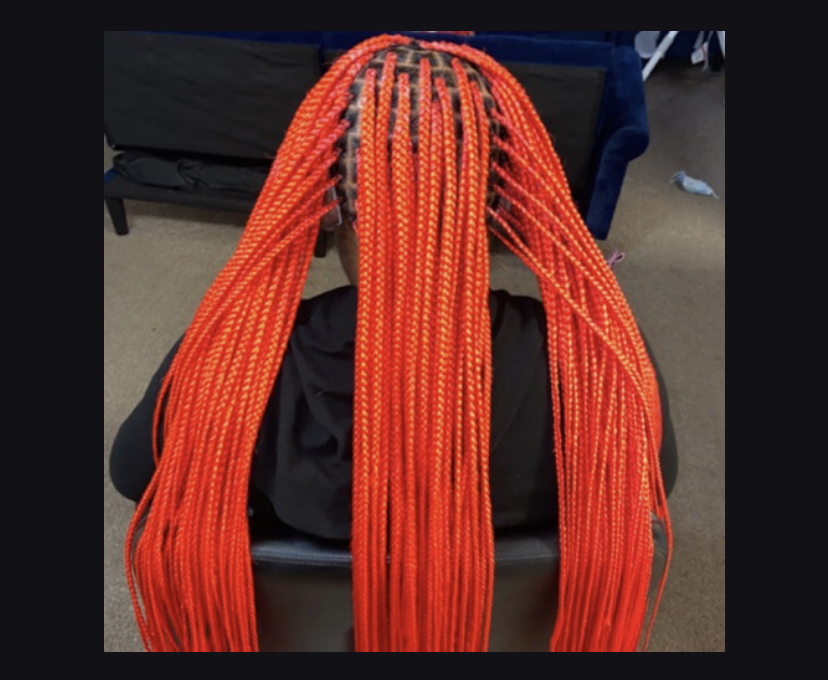 Small Knotless Braids Reg