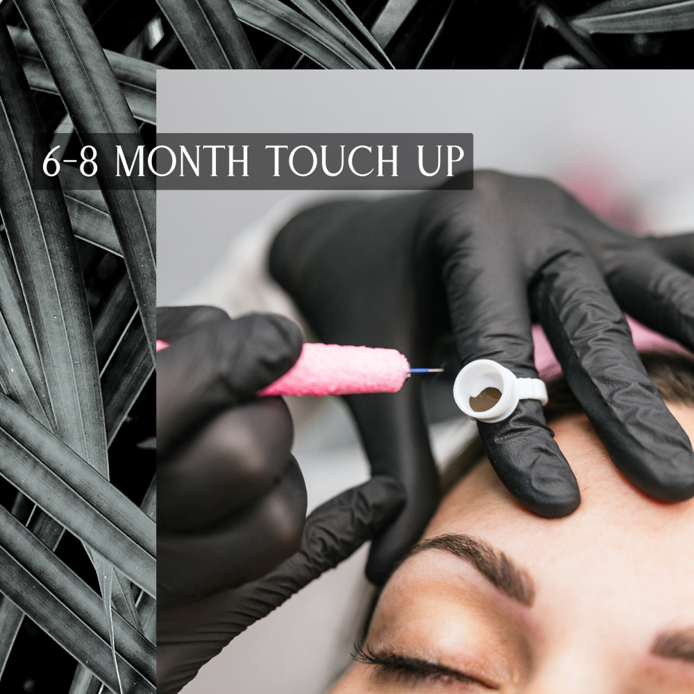 6-8 Month Touch Up