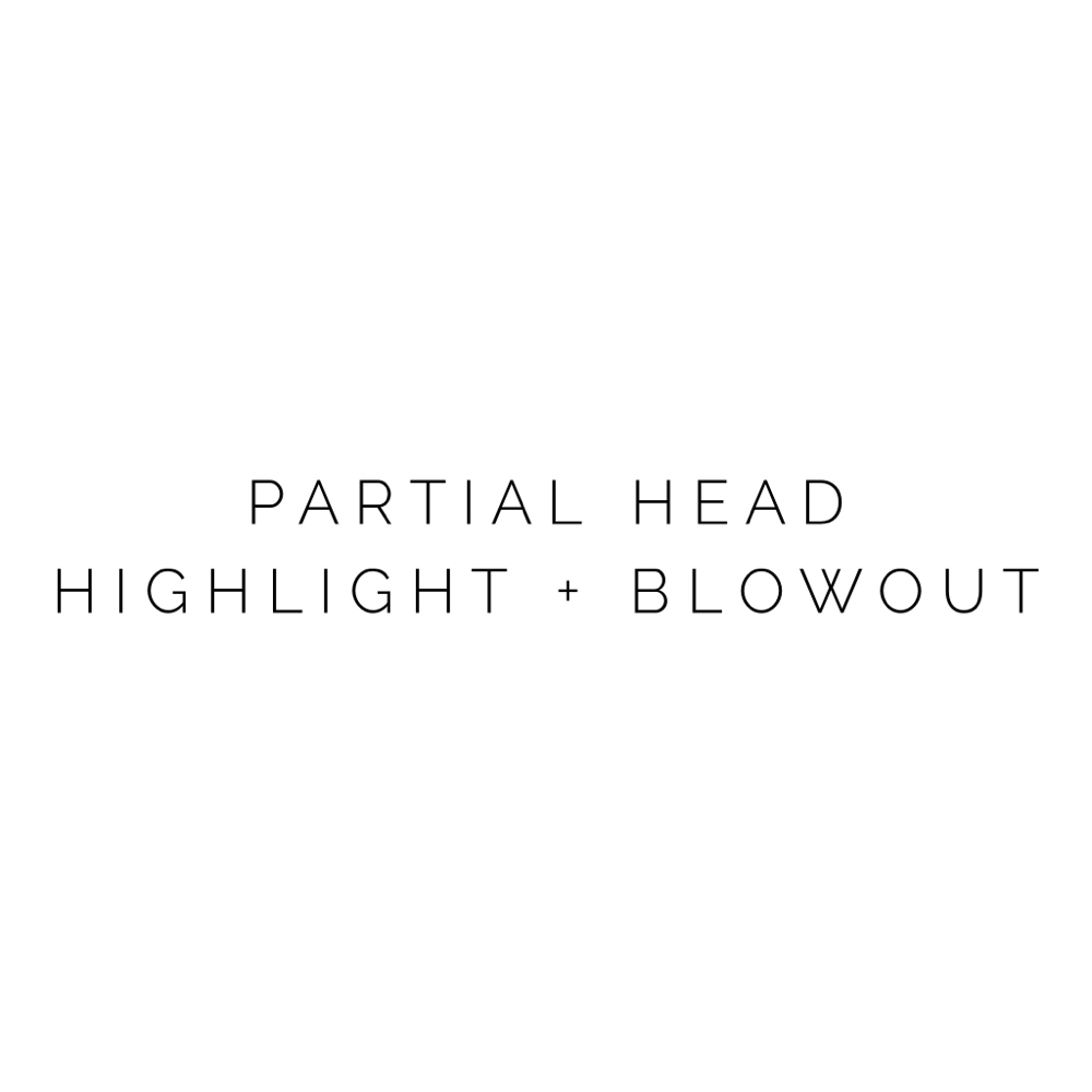 Partial Head Highlight + Blowout