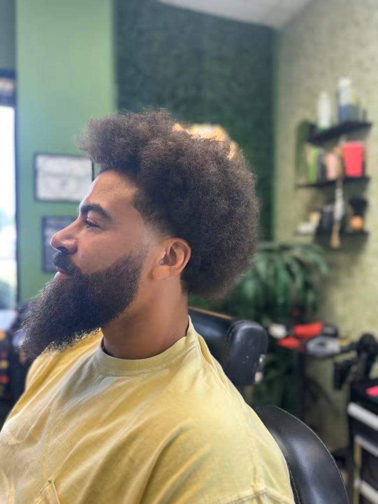 Temp Fades/ Taper/ Blowouts