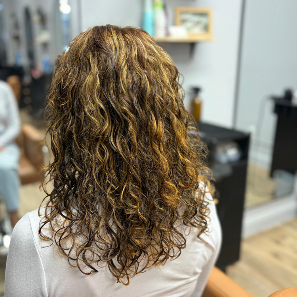 Cruly Cut at GYPSY HAIR COMPANY in Greeley, CO