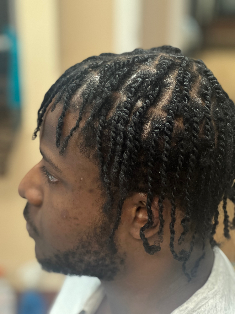 Two Strand Twists Adult