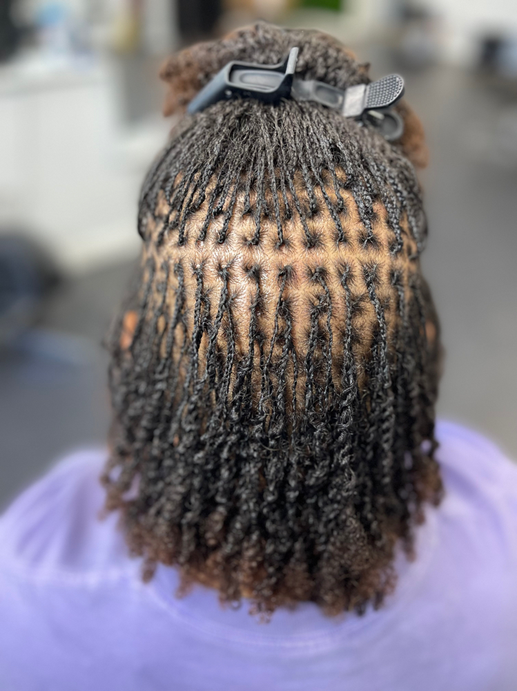 Starter Micro Locs