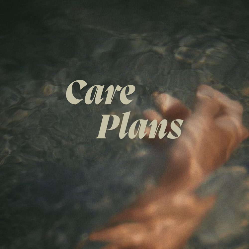 Steady Current Plan