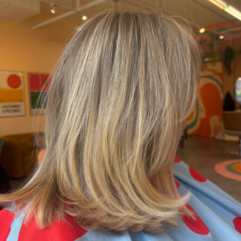 PARTIAL HIGHLIGHT/ PARTIAL BALAYAGE at Pinky in Seattle, WA