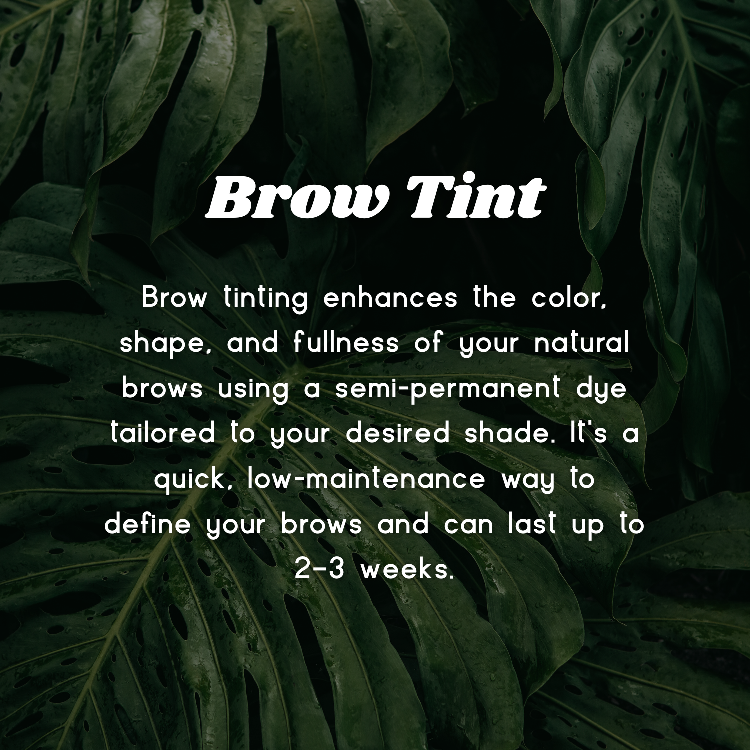 Brow Tint