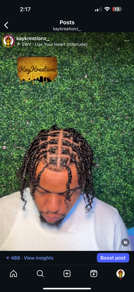 Two-strand Twist