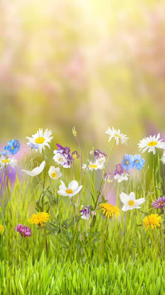 Spring Cleaning Facial (Apr-May)