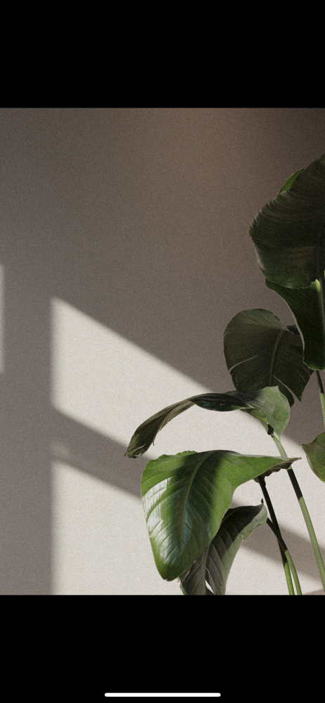 Base Retouch