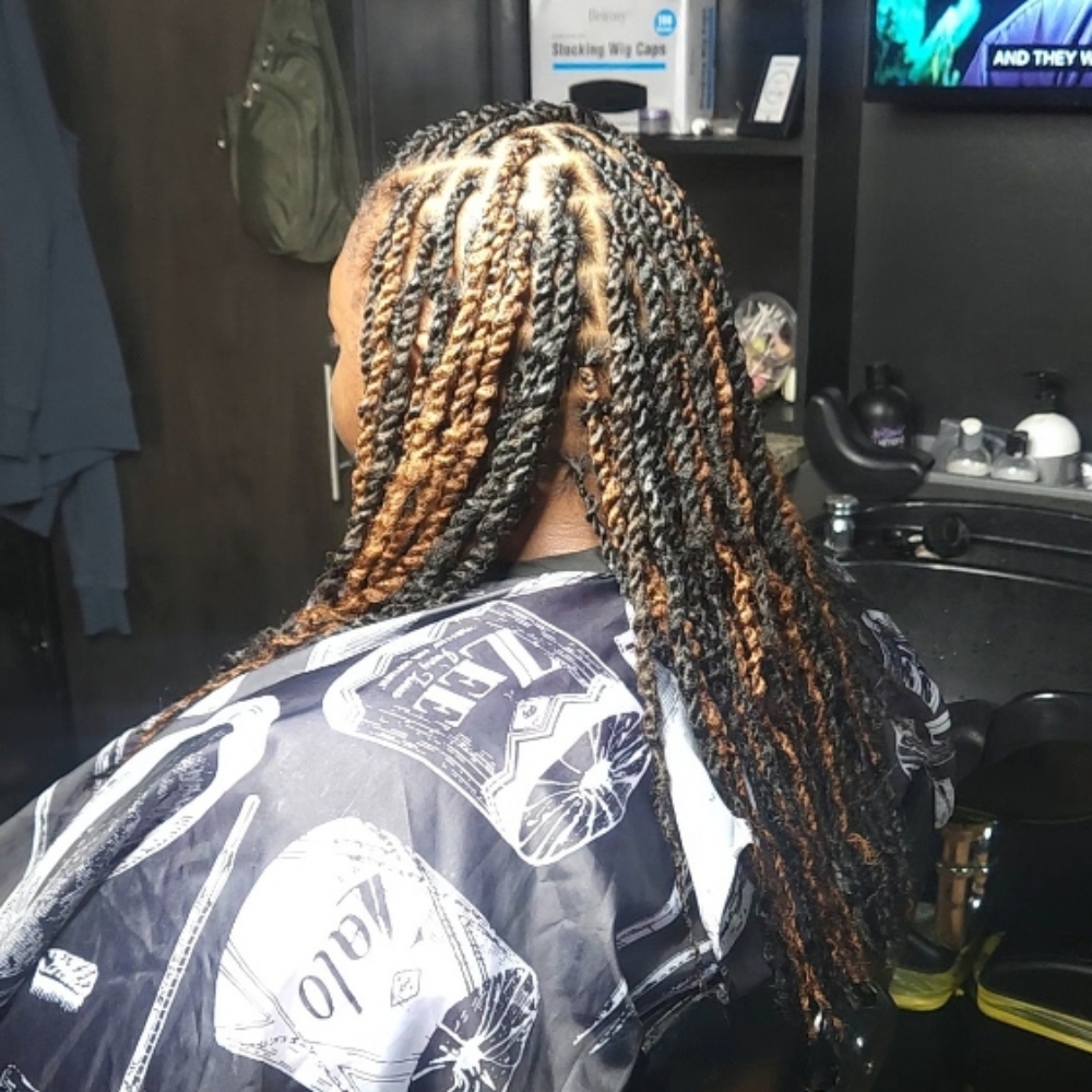 Two-Strand Twist (with Added Hair) at Empire Beauty Bar in Cincinnati, OH
