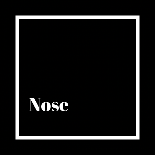 Nose