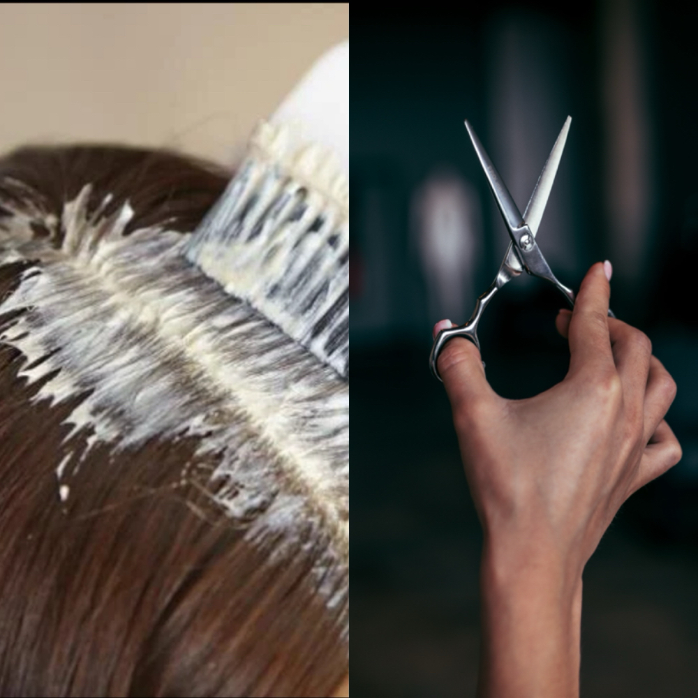 Retouch w/ Haircut & Style at Sher Segal Hair in Apex, NC