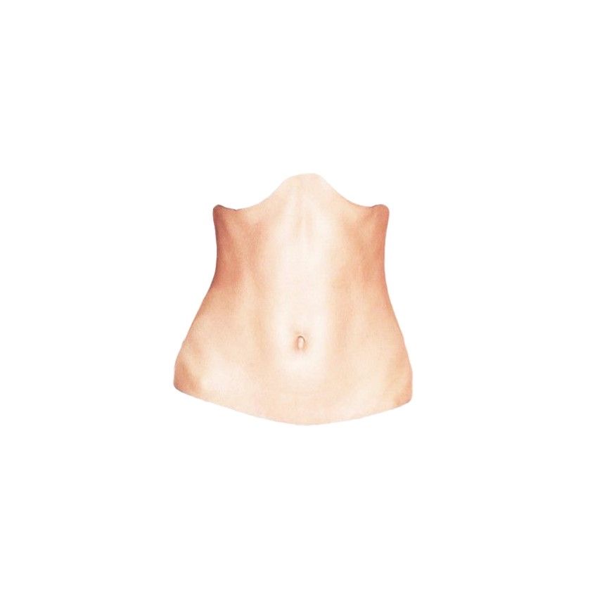 Stomach Wax