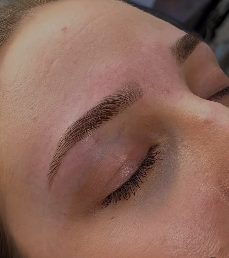 Brow Shaping + Tint at Lizz Brows in Thornton, CO