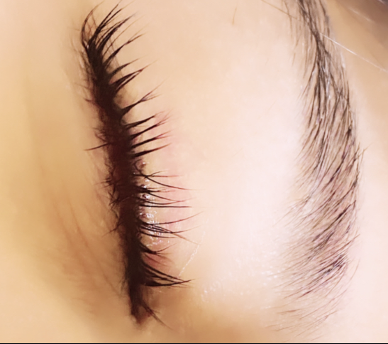 Lash Tint