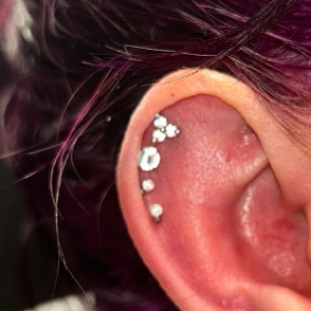 Helix 12+ at Wildflower Piercing Company in Alturas, CA