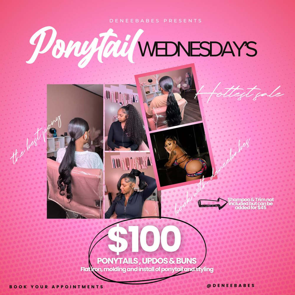 Wednesday Ponytail Special