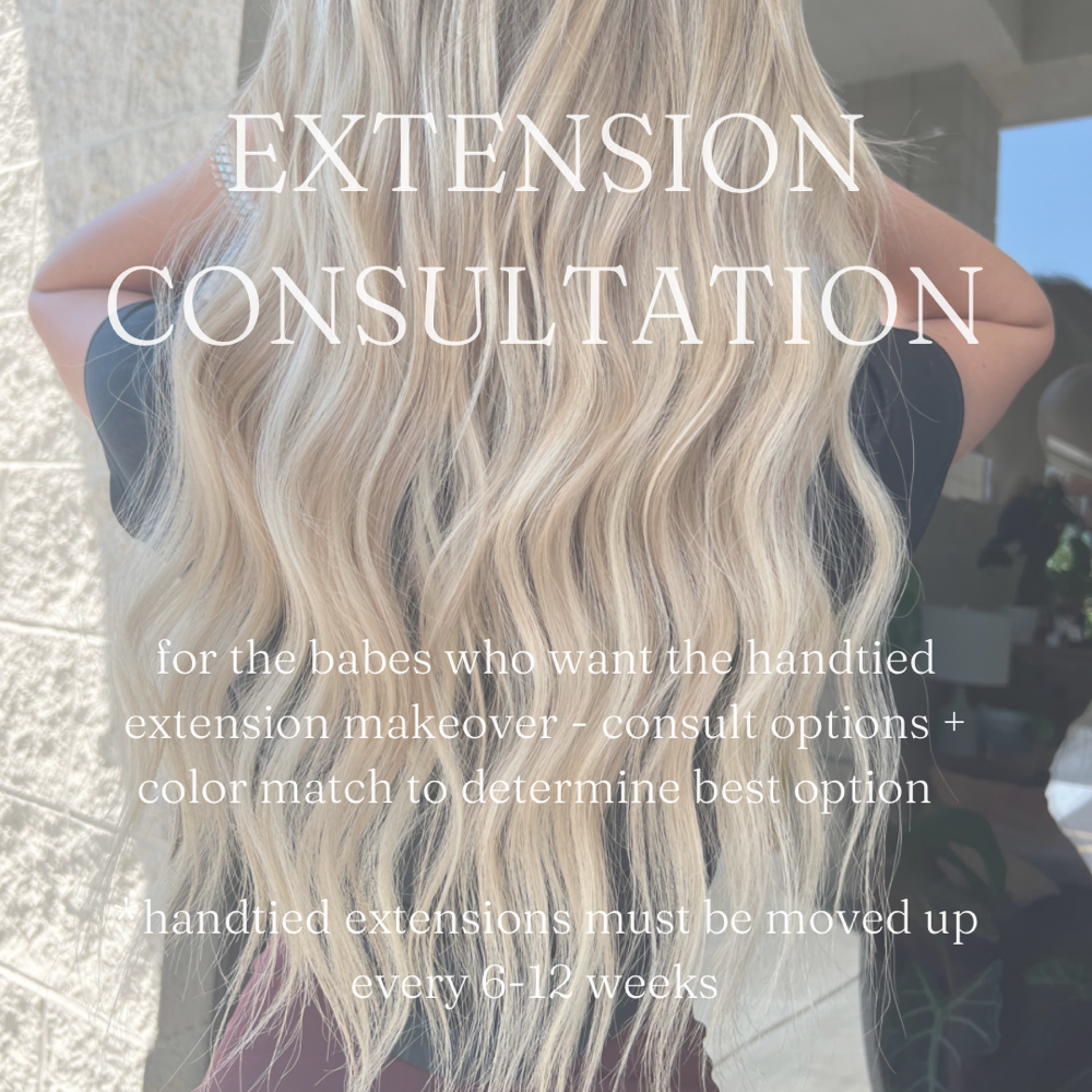 EXTENSION CONSULTATION