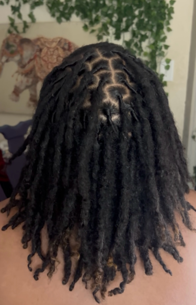 Medium DreadLoc RETWIST