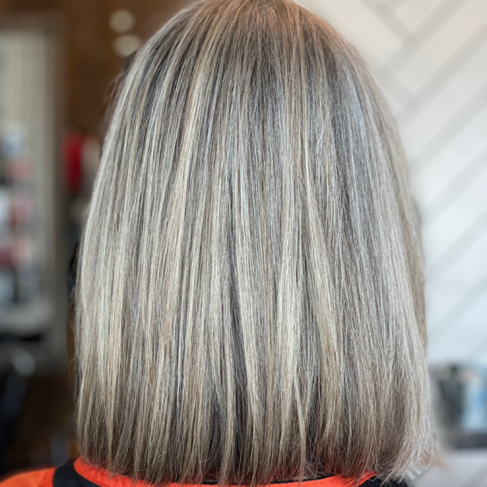 Gray Blending at Wild Roots Hair Studio in Knoxville, TN