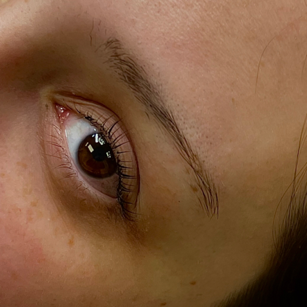 Lash Tint at Salon Niche in Knoxville, TN