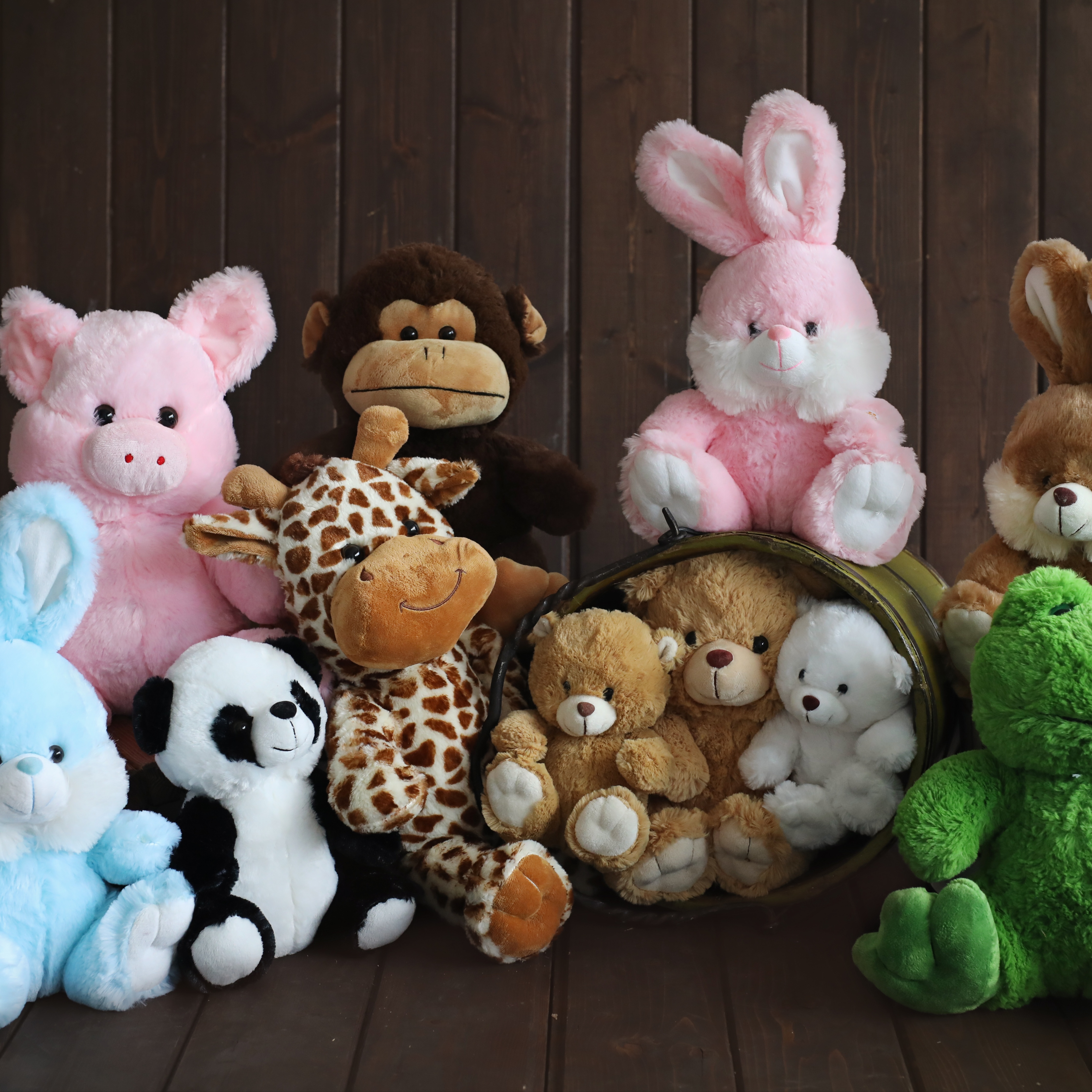 Add-On Heartbeat Animal at Whittier 3D 4D Ultrasound by 4D Special Delivery in Whittier, CA