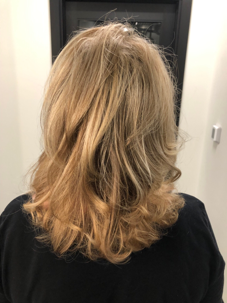 Toner/glaze No Blow Dry