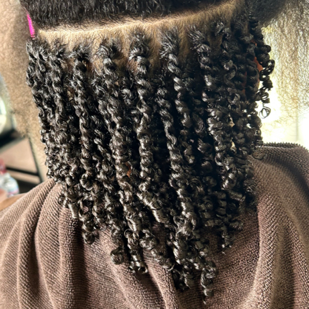 Dry Set Mini Two Strand Twists at Eden Holistic Hair in Hendersonville, TN