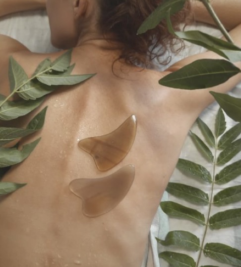 $15 Off Back Cleansing Facial